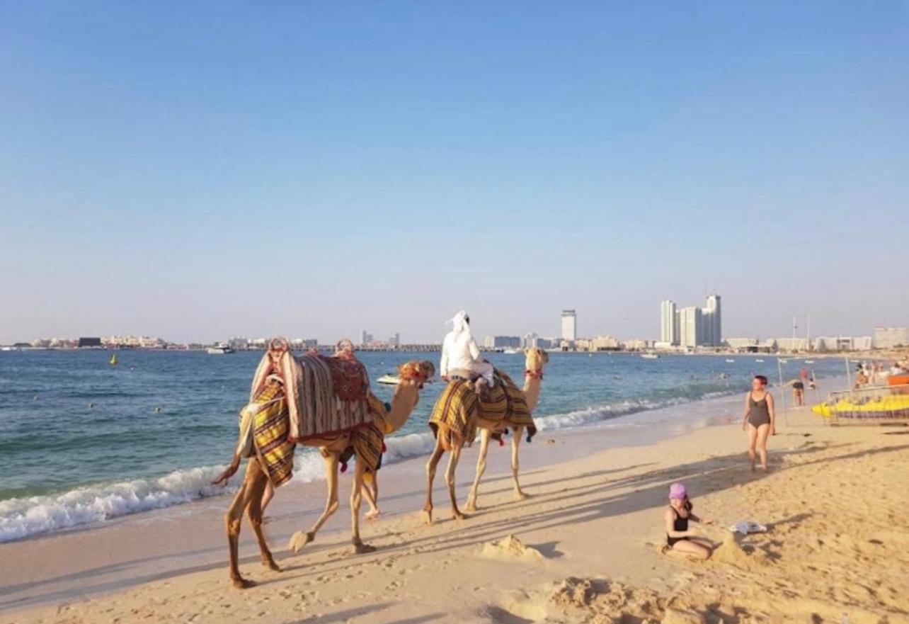 דובאי Seaview Beach Hostel Jbr - Walk To Beach - Gym - Pool - Metro Station מראה חיצוני תמונה